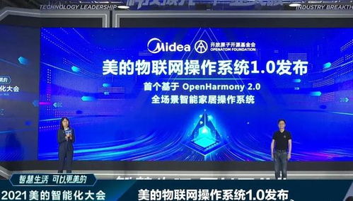 雪中送炭 4800億巨頭接入鴻蒙，華為網(wǎng)絡(luò)技術(shù)開(kāi)發(fā)的堅(jiān)守終見(jiàn)曙光