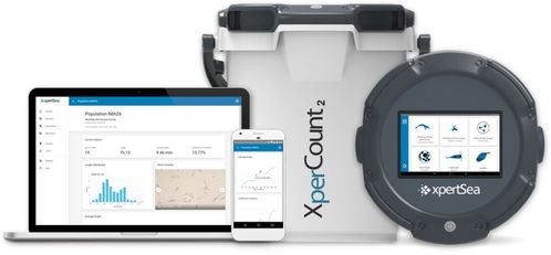 物聯(lián)互聯(lián)，智能養(yǎng)殖 網(wǎng)絡(luò)技術(shù)如何重塑現(xiàn)代水產(chǎn)養(yǎng)殖業(yè)